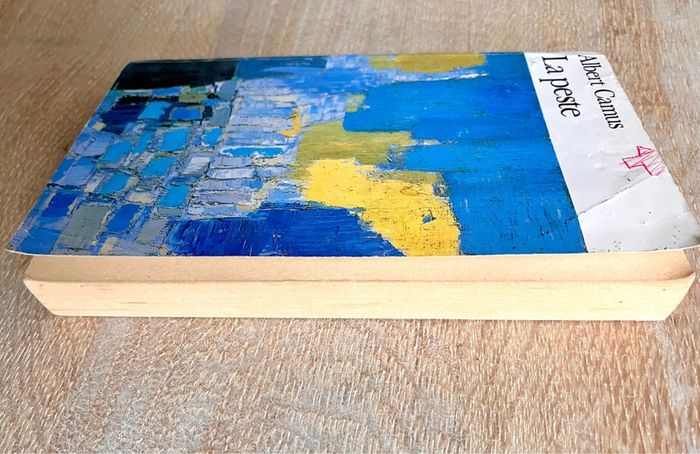 La Peste de Albert Camus Edition Gallimard Collection Folio - photo numéro 6