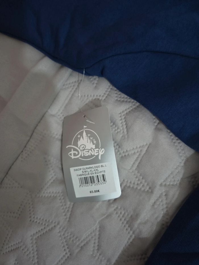 Sweat zip à capuche logo ©️ Disneyland Paris✨️ taille L +1 goodies 🎁 Disney offert - photo numéro 5