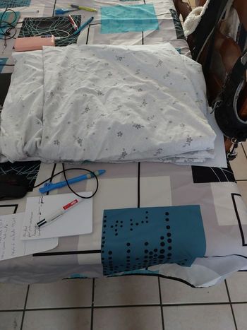 Housse de couette et 2 taie d'oreilles 