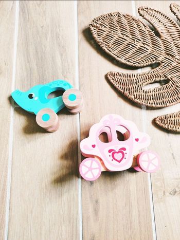 🐘Jeu de motricité- Elephant et carosse de Princesse en bois avec roulettes 