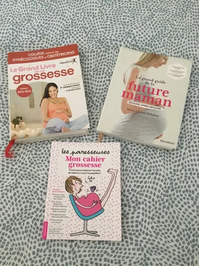 Lot 3 livres sur la maternité