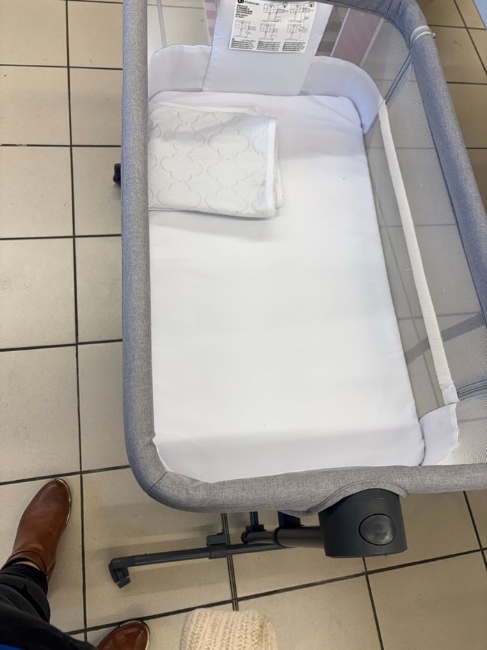 Cododo - photo numéro 3