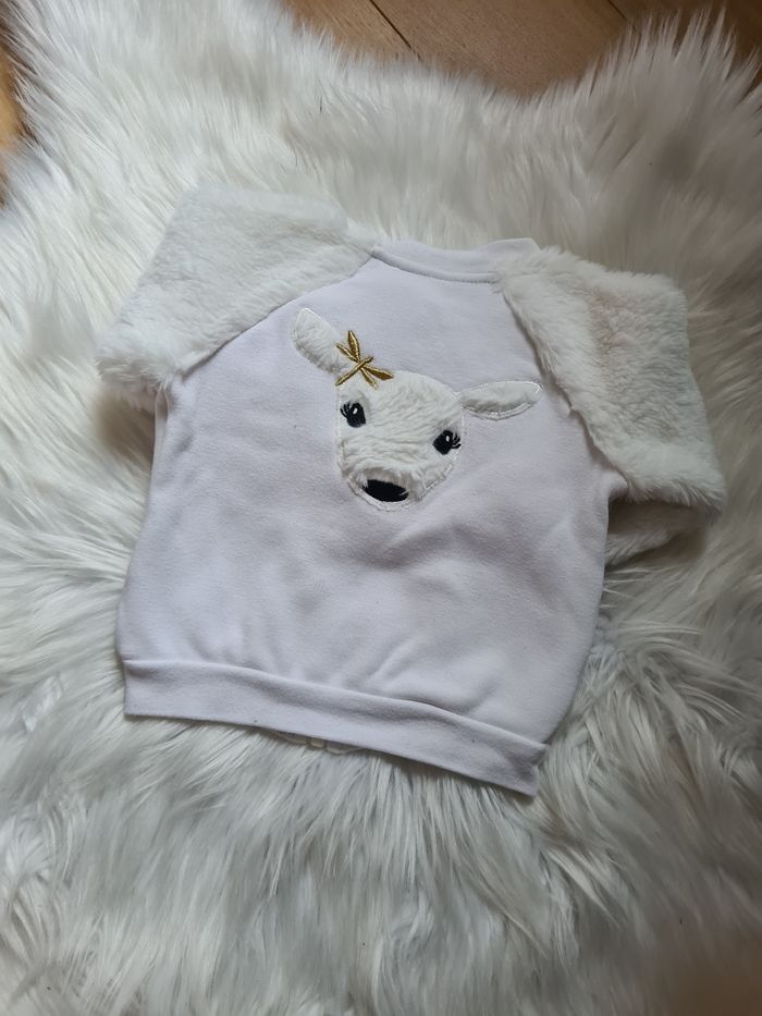 Gilet orchestra 6m - photo numéro 2