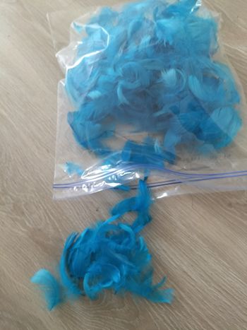 Plumes bleues turquoise