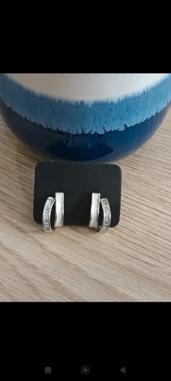 Boucles d'oreilles argentées acier inoxydable