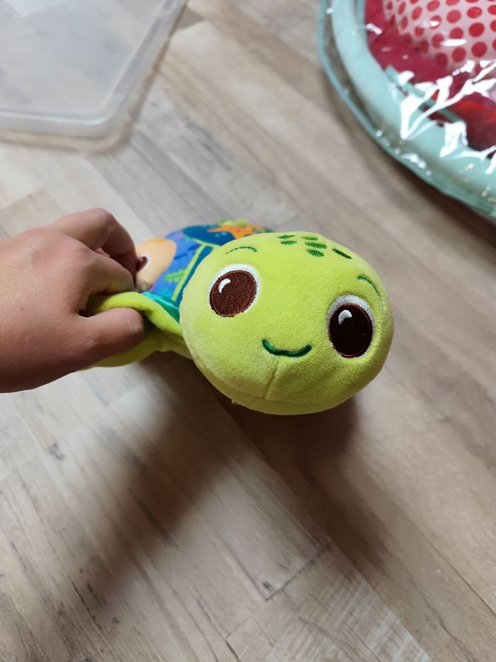 Juju la tortue - photo numéro 3