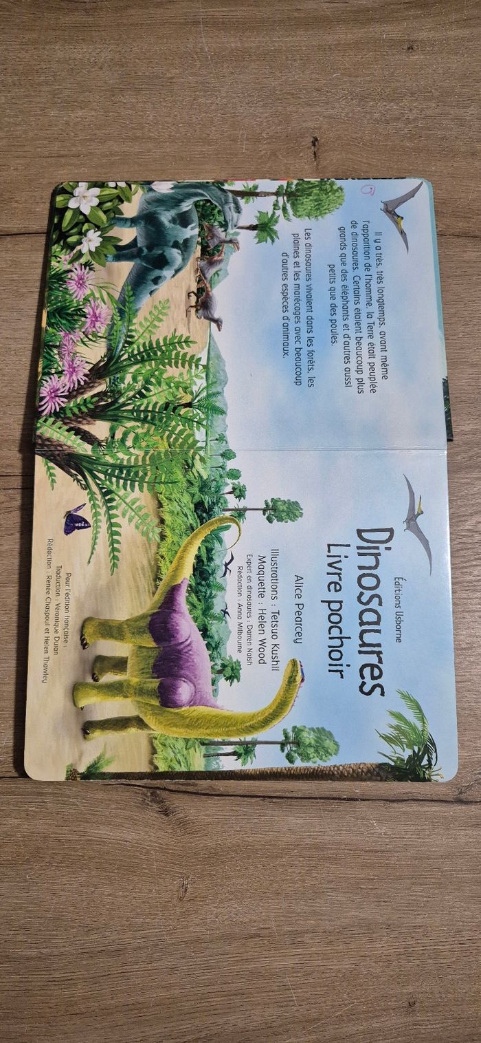 Livre pochoir : Dinosaures - photo numéro 2