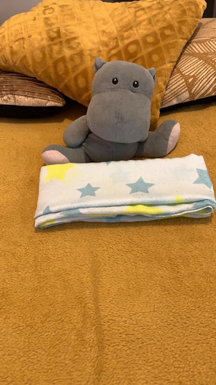 Écharpe/Foulard - photo numéro 8