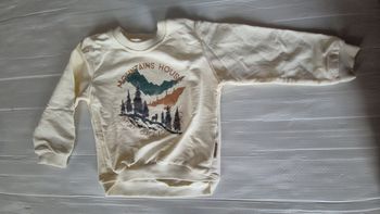Pull garçon 2-3 ans
