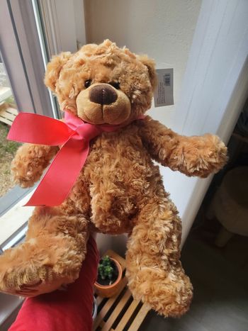 Ourson en peluche