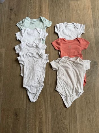 Lot bodies