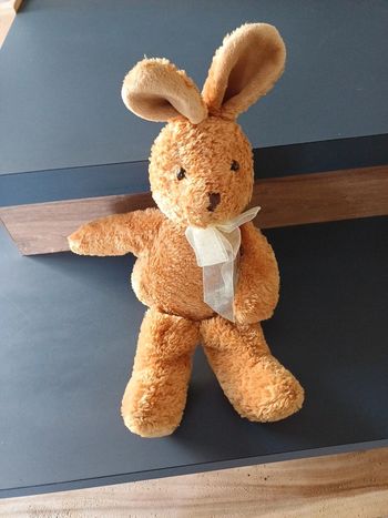 Jolie peluche lapin 🐰