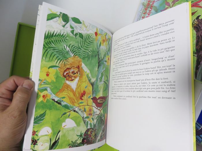 Coffret 2 Album + Audio : Contes et légendes de l'île de la Réunion - photo numéro 4