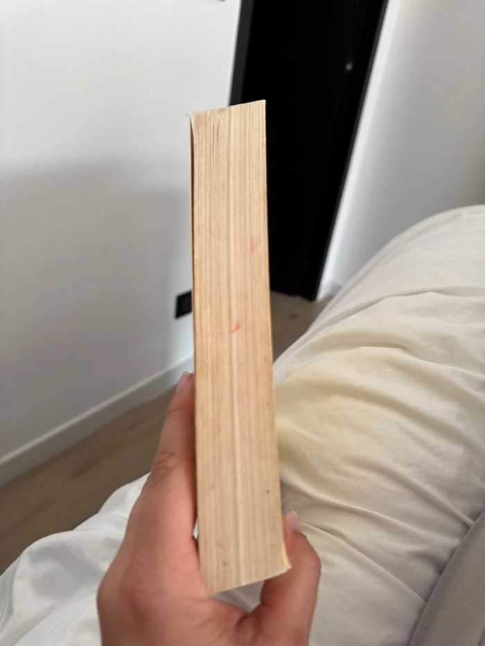 Livre un anniversaire sans fin - photo numéro 3