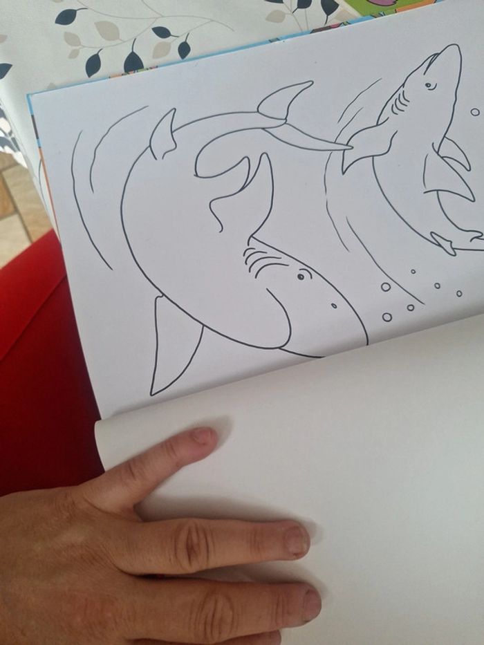 #cahier de coloriage - photo numéro 8