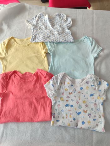 Bodies manches courtes t86