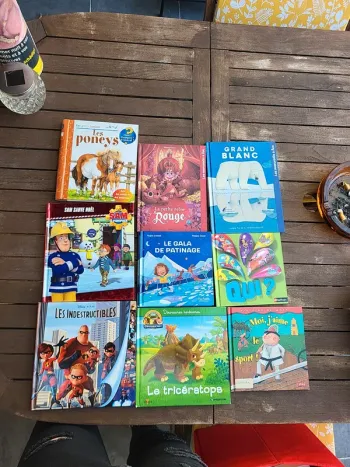 Lot livres enfants.