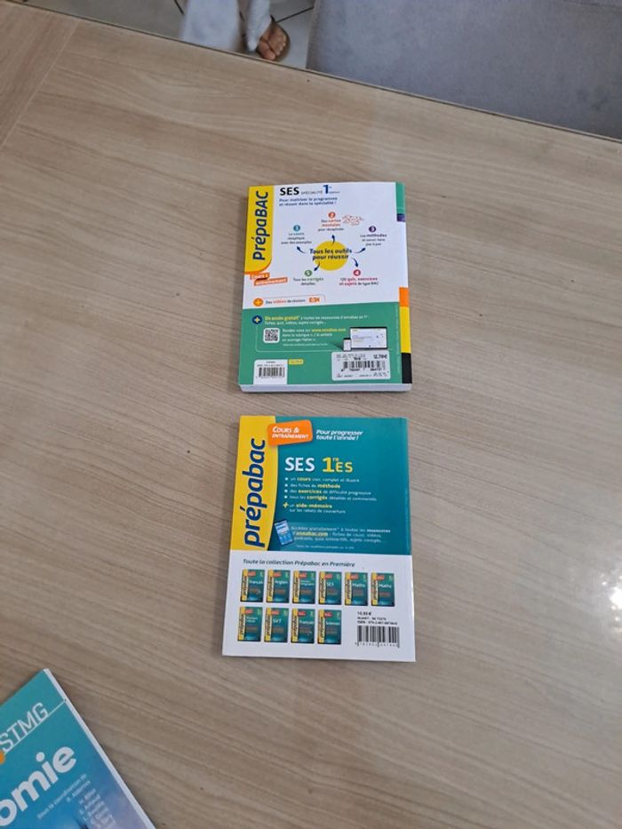 Lot de livres bac - photo numéro 2