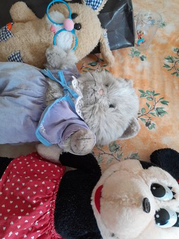 3 peluche s