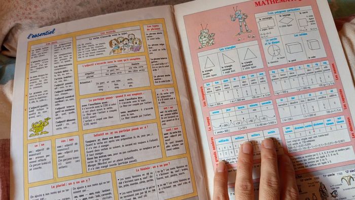 Nathan vacances🔸du CE2 au CM1 🔄 - photo numéro 11