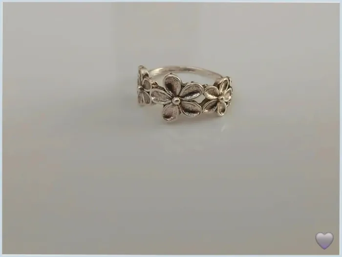 Bague en acier inoxydable - photo numéro 2
