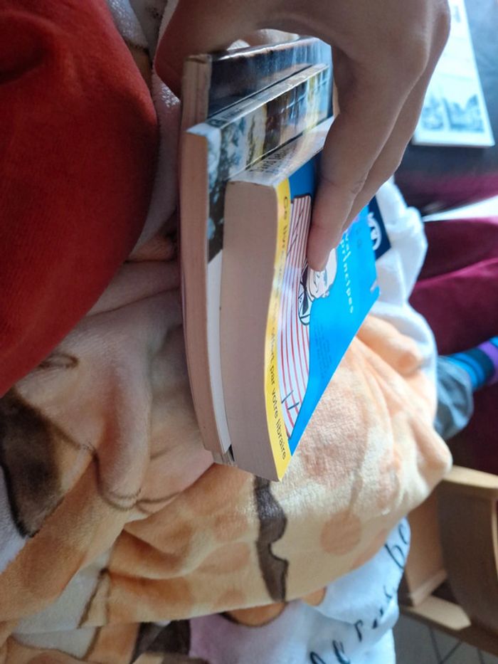 Lot 2 3 livres familles - photo numéro 6