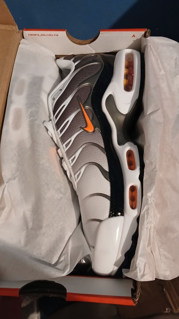 Basket tn - photo numéro 7