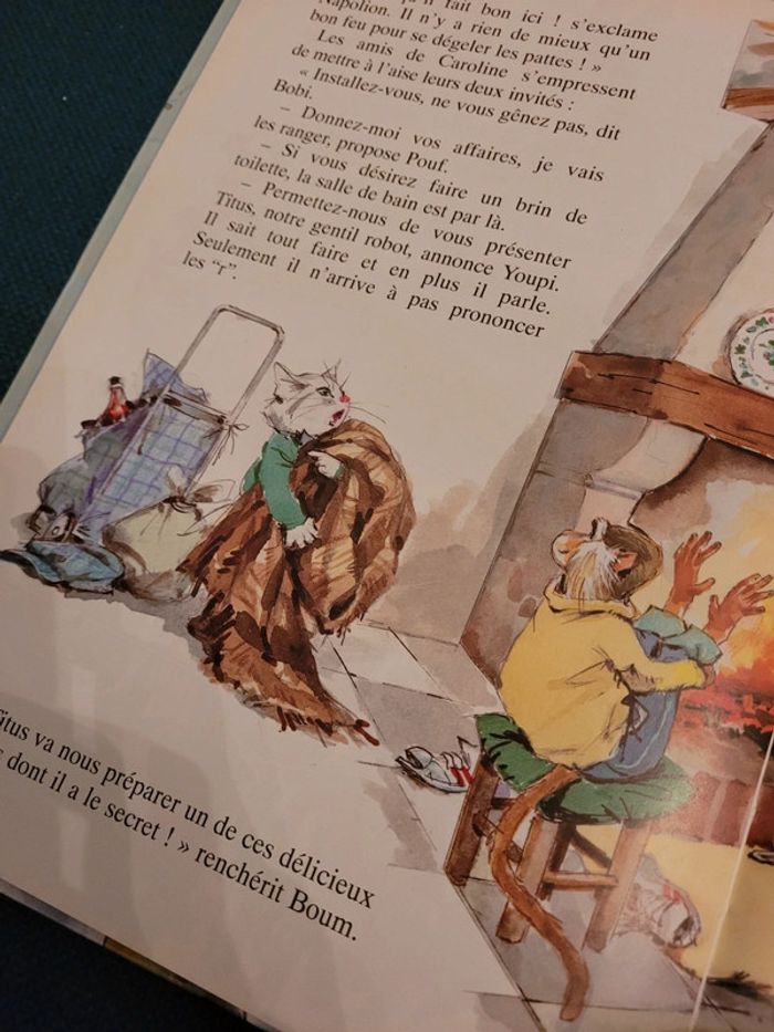 Caroline et les Vagabonds SDF lion crinière livre album collection années 90 Pierre Probst - photo numéro 5