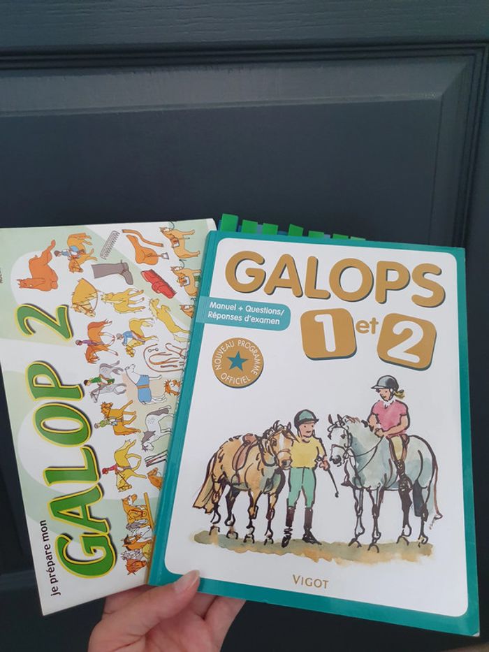 Manuels Galop équitation