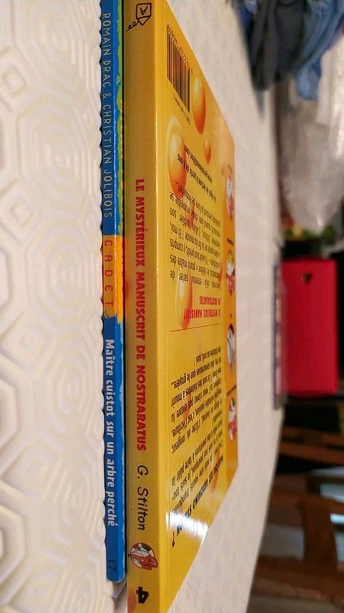 Lot de 2 livres neufs 8/9 ans - photo numéro 6