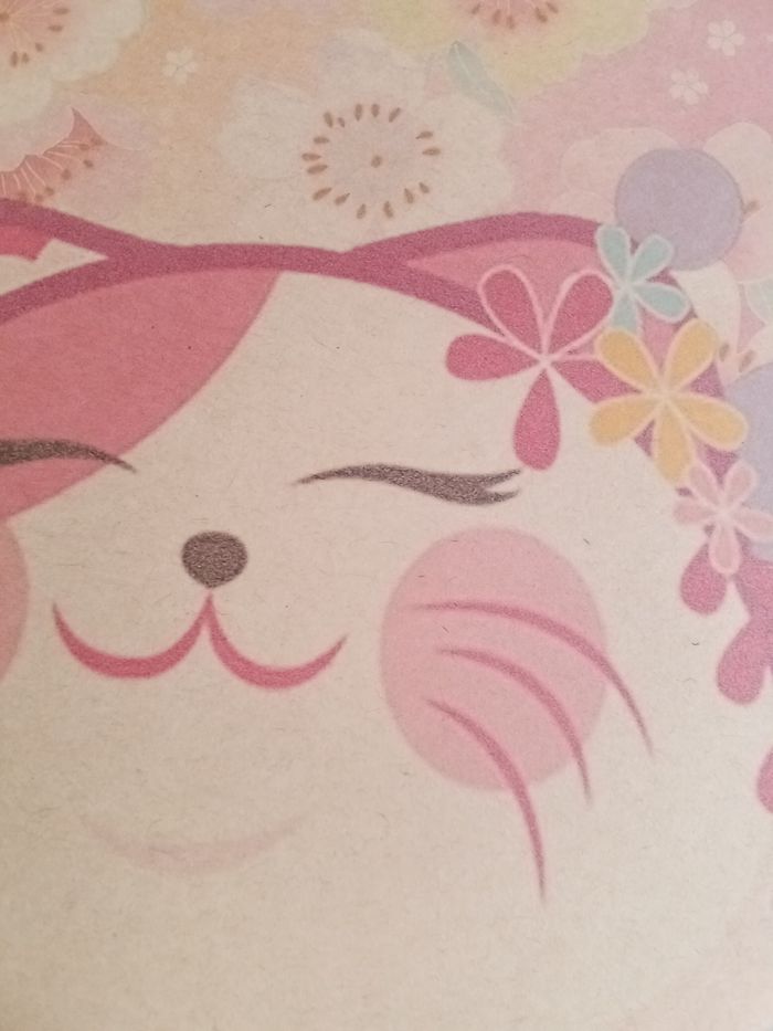 AFFICHE POSTER A3 JAPON CHAT PORTE BONHEUR MANEKI NEKO FOND MAT - photo numéro 2
