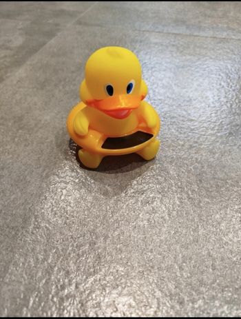 Thermomètre de bain