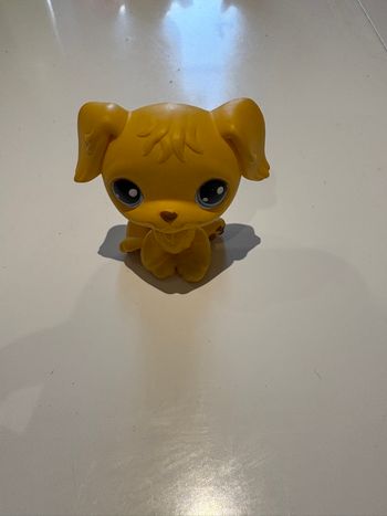 Figurine Pet Shop golden retriever orange