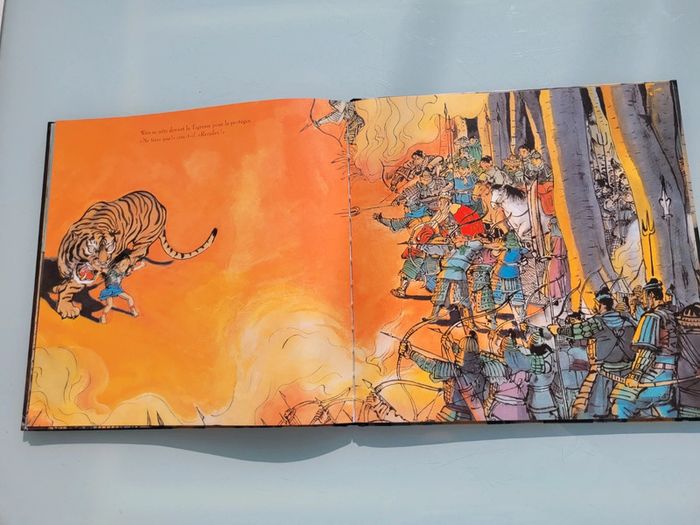Beau livre grand format dos toilé Le Prince Tigre - photo numéro 10