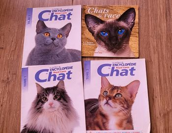 Livres sur les chats