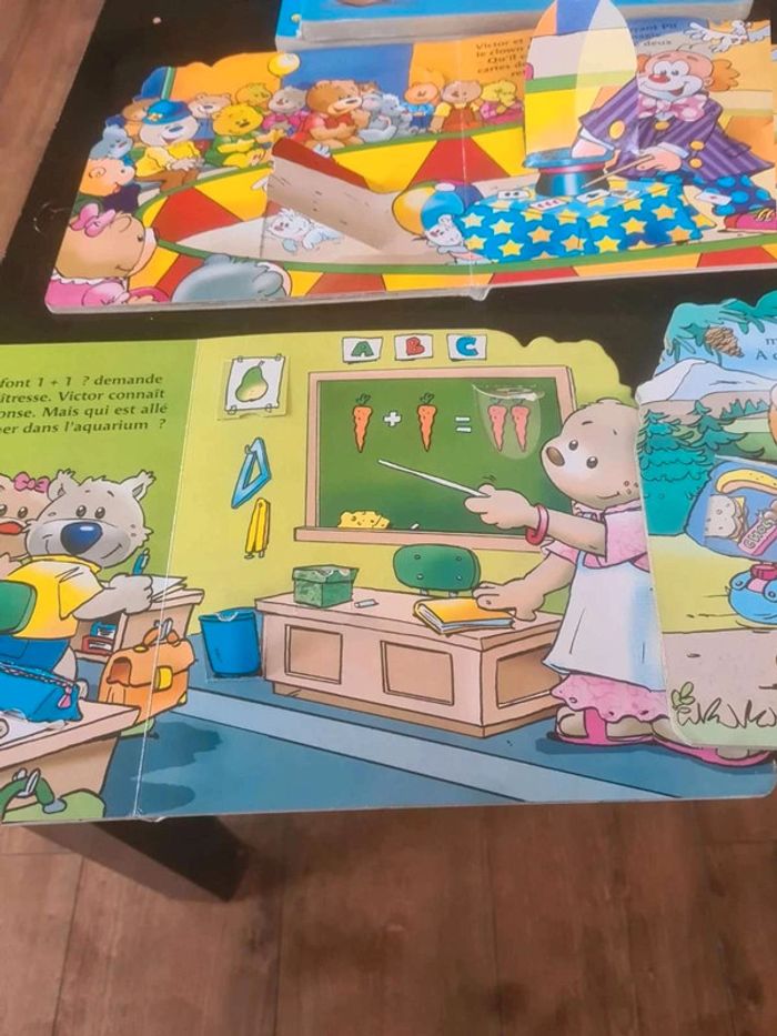 Lot livre victor - photo numéro 10