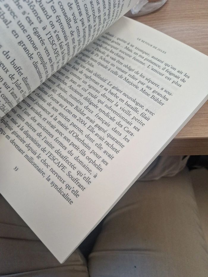 Roman de chien le retour de jules - photo numéro 7