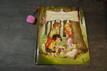 Livre Boules de poils & Cie Chien recherche maître désespérément Fleurus