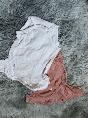 Bodies