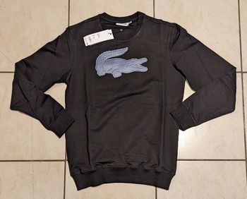 Sweat Lacoste taille M