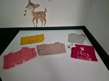 Lot de 5 t-shirts manches longues bébé fille - 18 mois (82 cm)