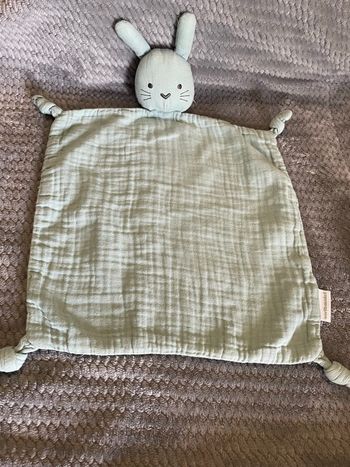 Doudou plat Chat Lapin lange bleu vert Vertbaudet