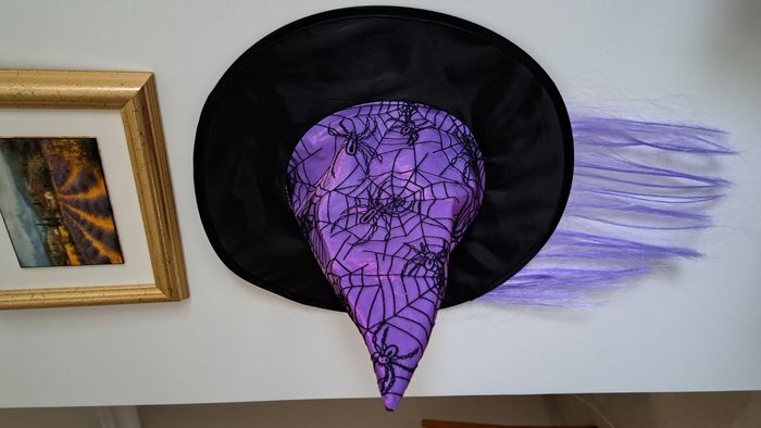 deguisement enfant - photo numéro 7