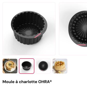 Moule Charlotte Guy demarle