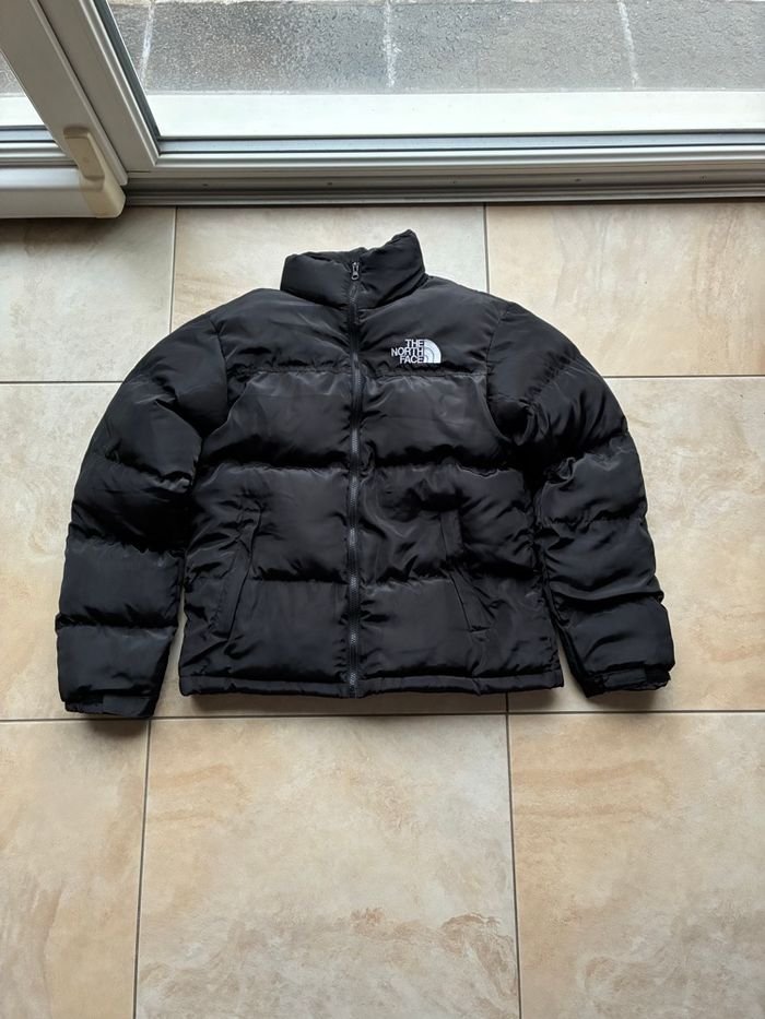 Veste the north face
