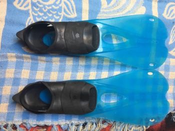 Paire de palmes bleue taille 33-34