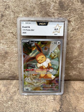 Carte evoli  svp 173 pca 9.5