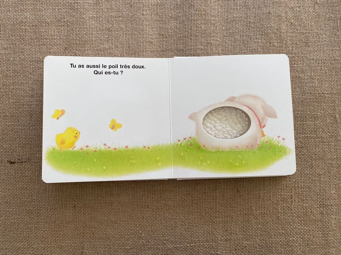Livre Piou Piou Qui es-tu ? Bayard Jeunesse - photo numéro 7