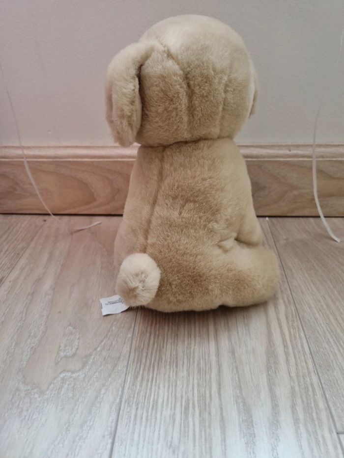 Chien en peluche - photo numéro 3
