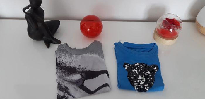 Lot de 2 t-shirts manches courtes garçon 5 ans